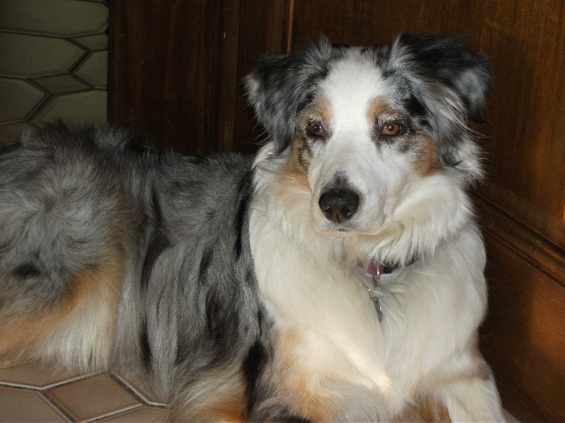 Eden blue de la villa Loubet